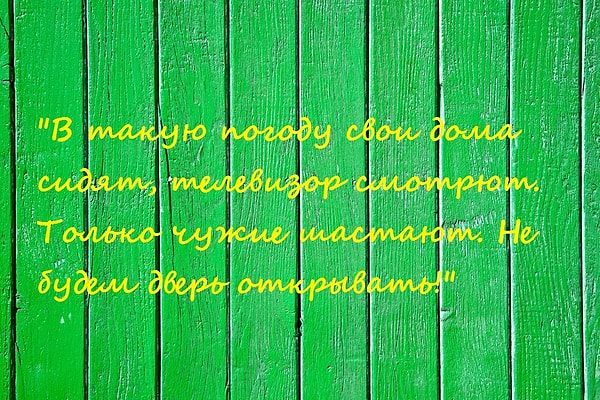 8. Из какого мультика эта фраза?