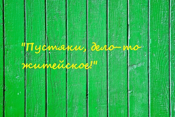 9. Из какого мультика эта фраза?