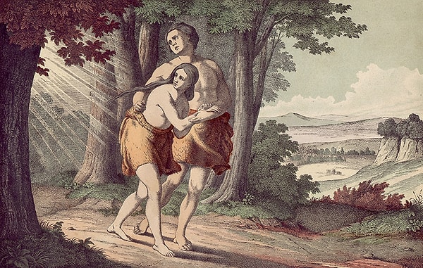 5. В какие цветы превратились снежные хлопья для того, чтобы утешить изгнанную из Рая Еву?