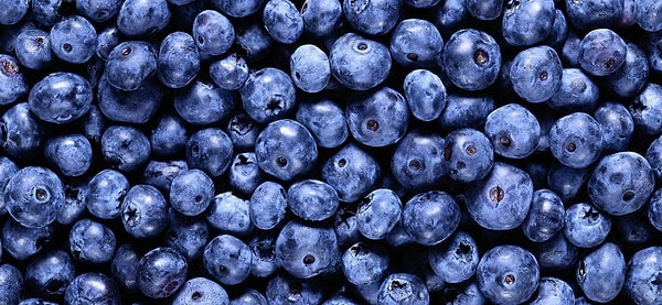 5. Черника полезна для зрения?