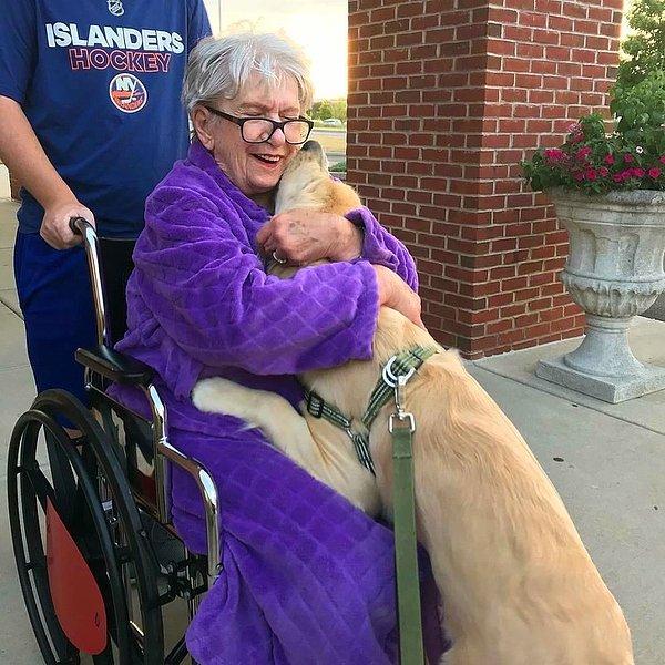 16. "Büyükannem rehabilitasyondan dün çıktı. Moose ile buluşma anı... (Moose, Golden Retriever cinsi bir köpek ve onun yeni arkadaşı.)