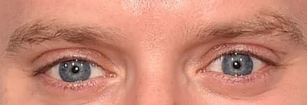 10. Кто является обладателем этой пары голубых глаз?