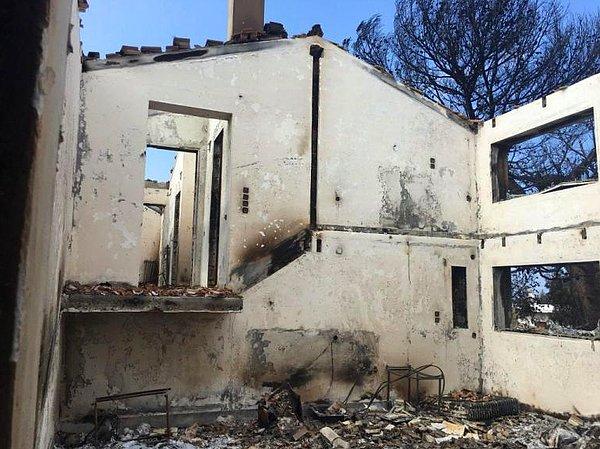 2. Yunanistan'daki yangınlarda ne yazık ki usta yönetmen Theo Angelopoulos'un evi, arşivi ve kitapları da yandı.