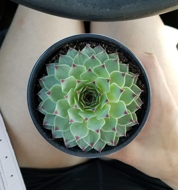 6. Вот это да!