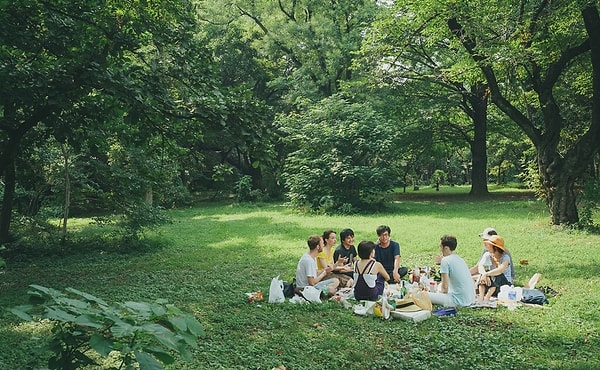 10. Вам, наконец, удалось вырваться на природу с семьей. Чем займетесь?