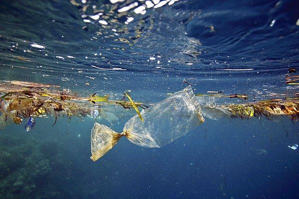 Marmara Denizi’ndeki her 10 çöpün 1 tanesi plastik.