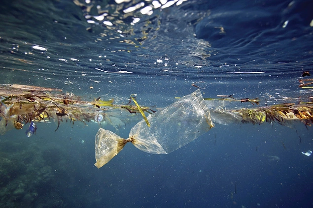 En fazla miktarda mikroplastiğe deniz tuzunda rastlanmış olması da, denizlerimizdeki plastik kirliliğinin vahametine ışık tutuyor.