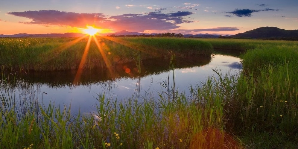 "Божественный" месяц: Знаете ли вы приметы августа?