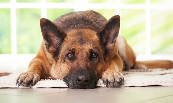 5. Вы затаиваете обиду