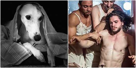 Rastgele Bir Fotoğraf Çekmeye Niyetlenirken Yanlışlıkla Rönesans Tablosu Yaratan 29 Kişi