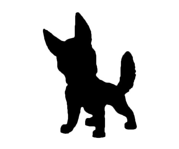 6. Узнали этот силуэт?