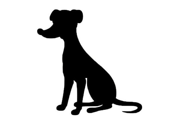 7. А этот силуэт принаджлежит...