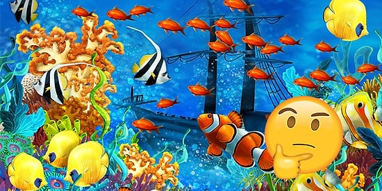 Тест: Если бы вы пришли в этот мир в форме рыбы, то какой?