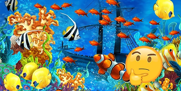 Тест: Если бы вы пришли в этот мир в форме рыбы, то какой?