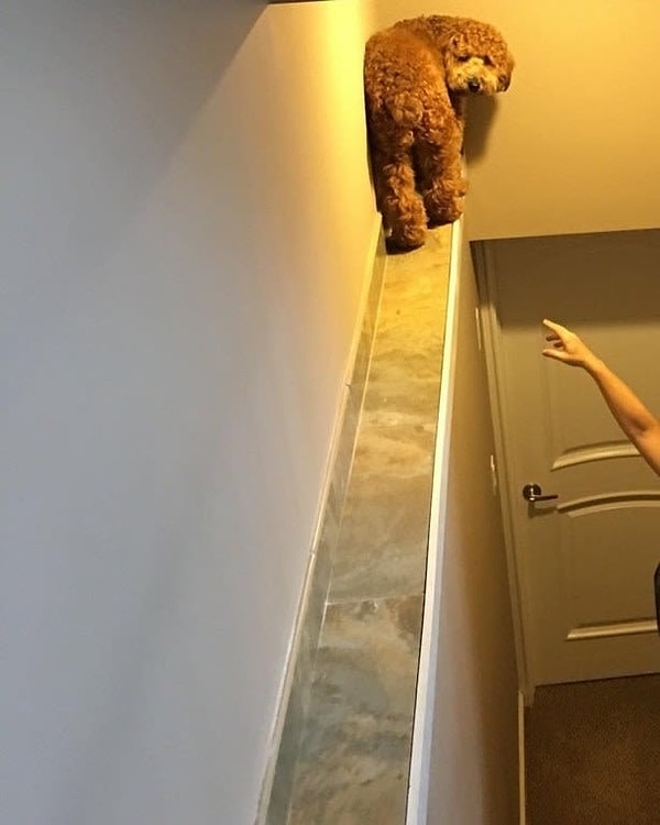 7. Излишняя любопытность порой может завести в тупик.