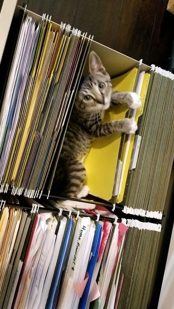 13. Этот малыш говорит, что во всем должен быть порядок!