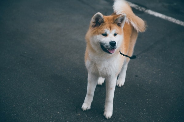 А вот и нет! Попробуйте еще раз!