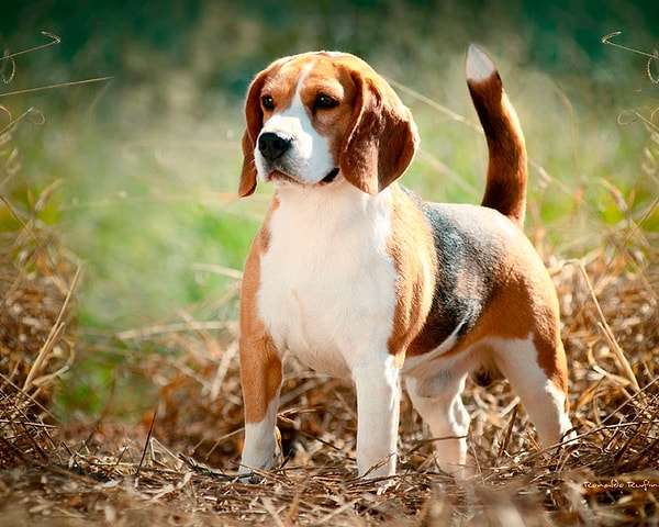 Мимо! Попробуйте еще разок!