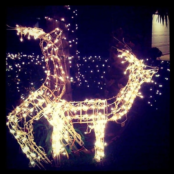 8. Сосед-интеллигент, о чувстве юмора которого можно сказать все по его рождественской лужайке.