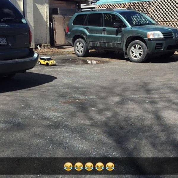 10. Этот сосед заявил свои права на парковочное место премиум-класса.