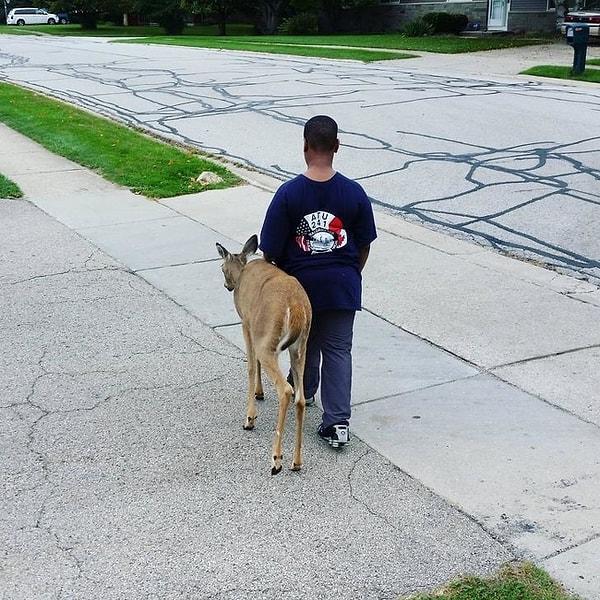 6. "Mahallemizde yaşayan görme engelli bir geyik var ve bu 10 yaşındaki çocuk her sabah okula gitmeden önce onu bir çimden diğerine götürüyor. Bir şeyler yediğinden emin oluyor."