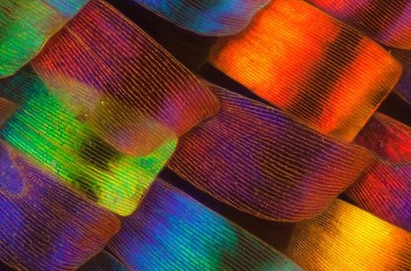 10. Вы знаете, что делать :)