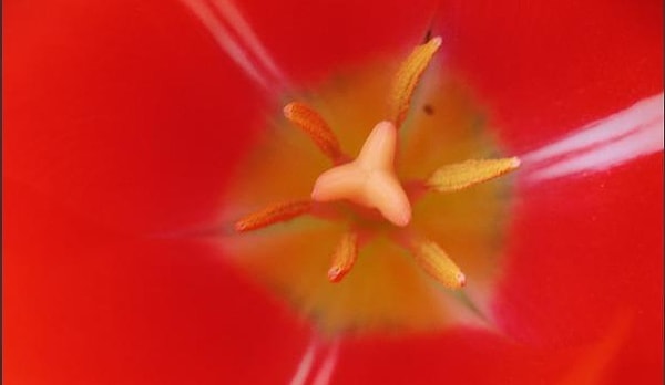 12. А вот и последний вопрос: