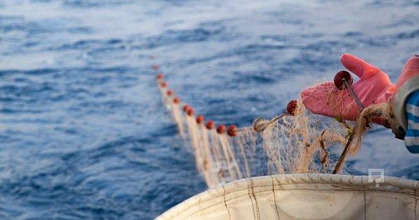 Üç tarafı denizlerle çevrili olan ve deniz ürünü çeşitliliği olarak dünyada önemli bir konumda bulunan Türkiye, yanlış avlanma politikaları nedeniyle dışa bağımlı hale geldi.