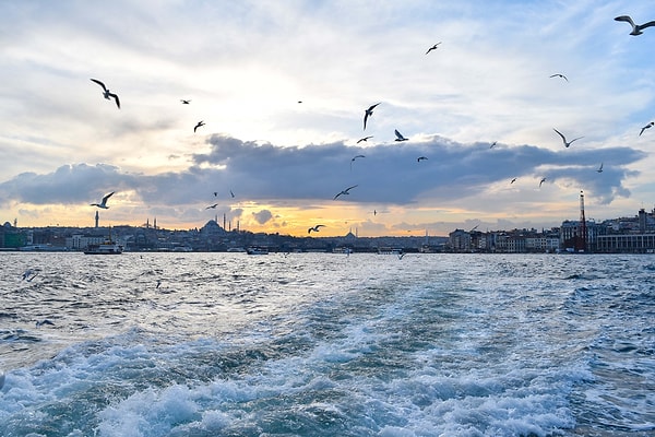 2. "Есть люди уютные, как дом. Обнимаешь их - и понимаешь: я дома"