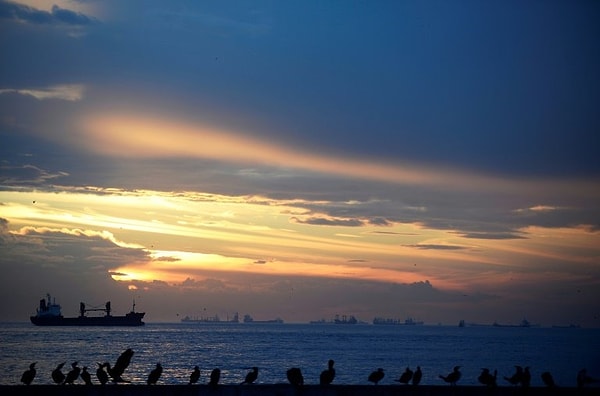 9. "Жить другим - это верное сумасшествие. Это и есть самая большая любовная ошибка..."