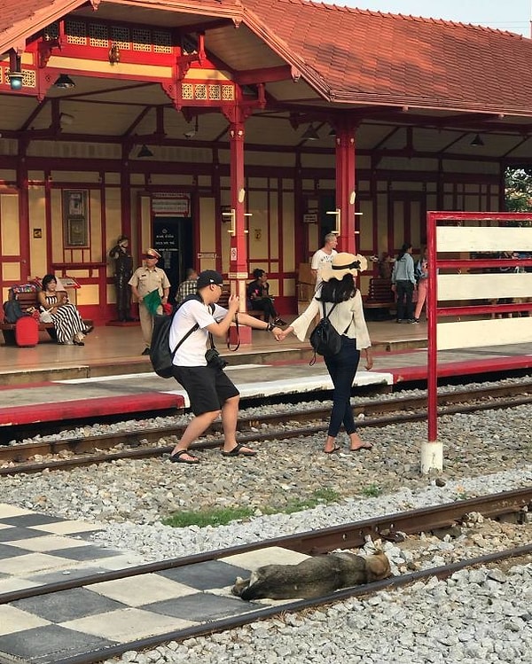 18. Оооочень оригинальное "Следуй за мной"