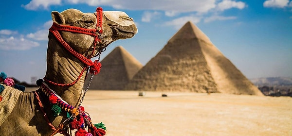 10. Граничит ли Египет с сектором Газа?