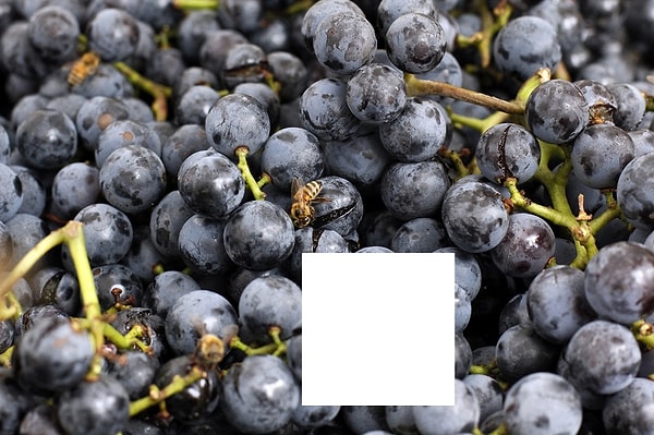 3. Что насчет этой картинки с виноградом?