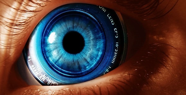 Браво! У вас определенно отлично развита визуальная память!