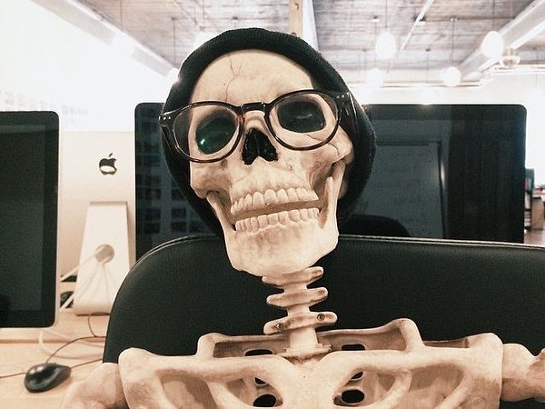 6. Сколько пар ребер у человека?