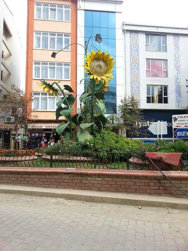 13. Malkara meydanındaki ayçiçekleri heykeli