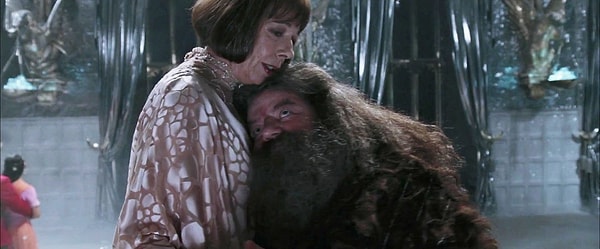 7. С кем остался Хагрид после "Кубка огня"?