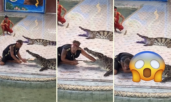 Gösteri Sırasında Timsaha Kolunu Kaptıran Eğitmen