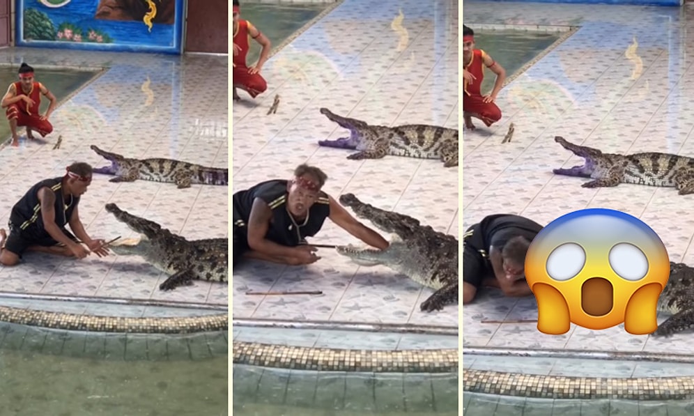 Gösteri Sırasında Timsaha Kolunu Kaptıran Eğitmen