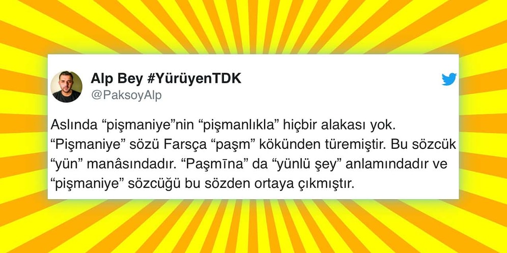 Her Gün Kullandığınız Bu 18 Kelimenin Asıl Anlamlarını Öğrendiğinizde Beyninizde Havai Fişekler Patlayacak!