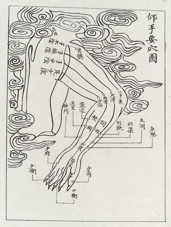 Meridyenler üzerinde Çi'nin en yoğunlaştığı ve dışarısı ile etkileşim halinde bulunduğu noktalara akupunktur noktaları denir.