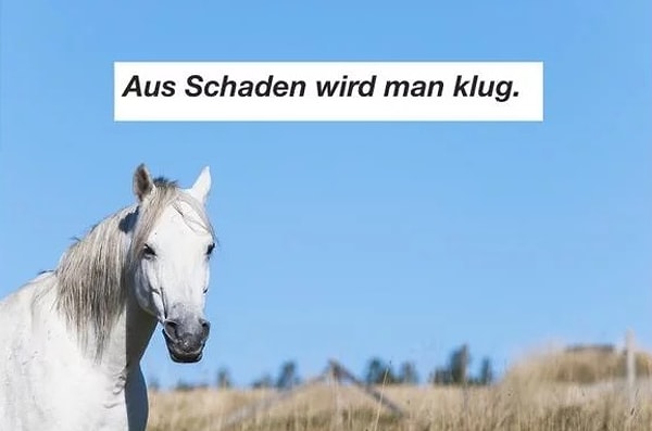 1. Что это за язык?