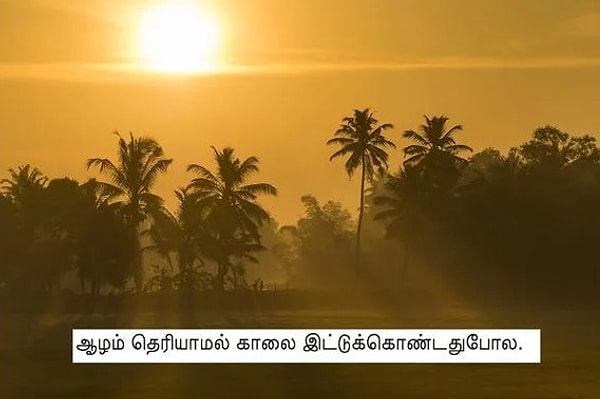 10. Что это за язык?