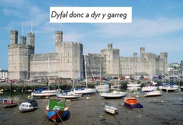 12. Что это за язык?