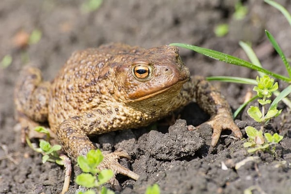 12. Мерзко! А вы что думаете?