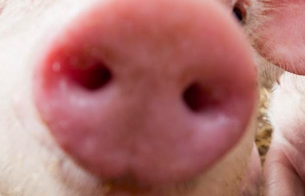 5. Кто это? 😂