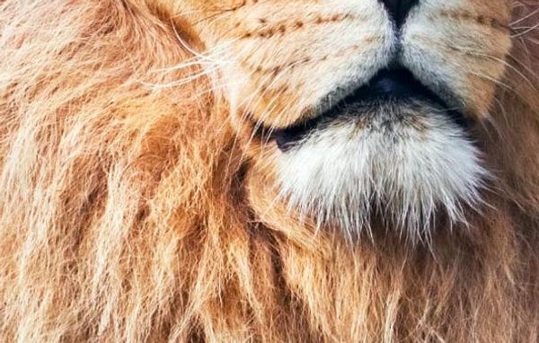 6. Есть предположения?