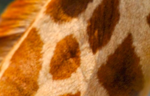 9. Осталось немного...