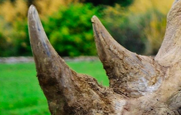 12. И последнее: