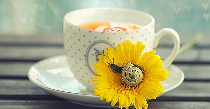 Сократ был одним из умнейших когда-либо живших людей. Здесь вы найдете его очень важные и мудрые цитаты